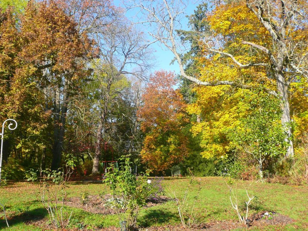 Chambres D'Hotes Et Roulotte Au Bonheur Du Parc Le Breuil  Exterior foto